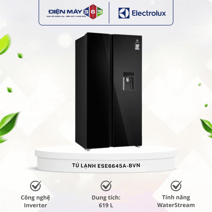 Tủ lạnh Electrolux ESE6645A-BVN 3 Tủ lạnh Electrolux ESE6645A-BVN