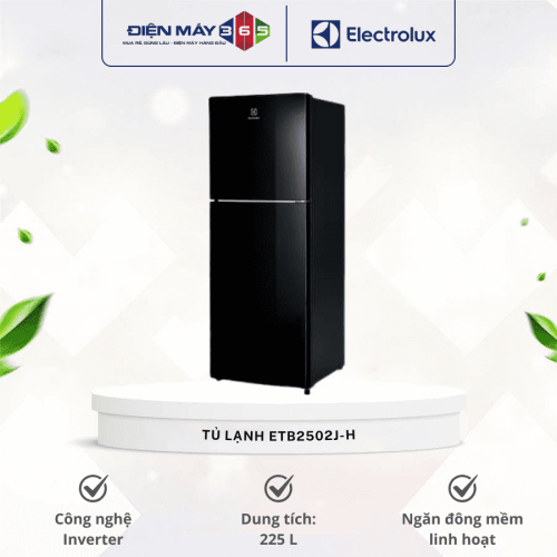 Tủ lạnh Electrolux ETB2502J-H