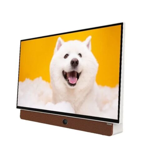 Tivi Google Xách Tay Di Động Full HD 24 Inch Coocaa 24LP6000G (Tay Cầm Da) 7 Ảnh Tivi Google Xách Tay Di Động Full HD 24 Inch Coocaa 24LP6000G (Tay Cầm Da)