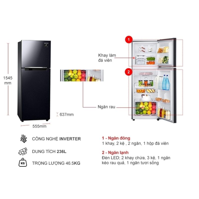 Tủ Lạnh 2 cánh Inverter 236 Lít Samsung TMF-RT22M4032BU 6 Kích thước tủ Lạnh 2 cánh Inverter 236 Lít Samsung TMF-RT22M4032BU