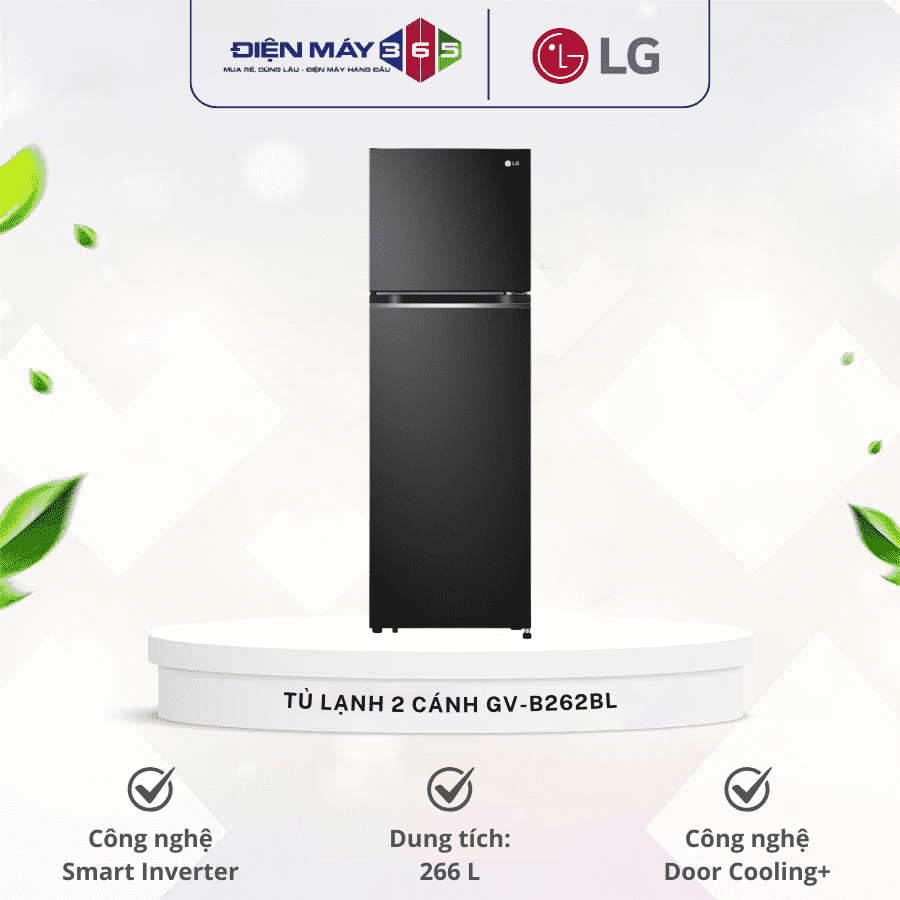Tủ Lạnh 2 cánh Inverter 266 Lít LG GV-B262BL 3 Tủ Lạnh 2 cánh Inverter 266 Lít LG GV-B262BL