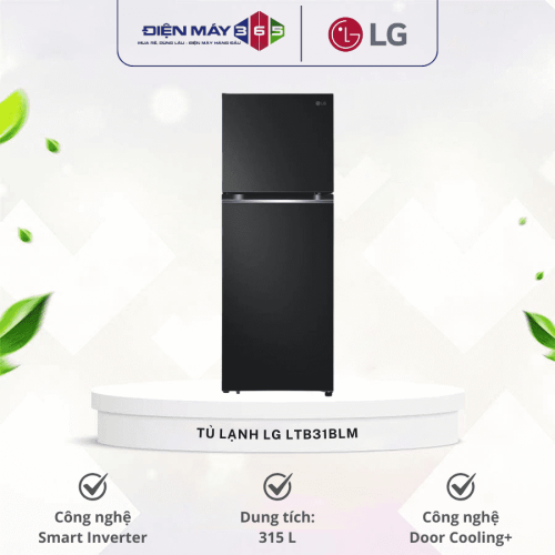 Tủ Lạnh 2 cánh Inverter 315 Lít LG LTB31BLM