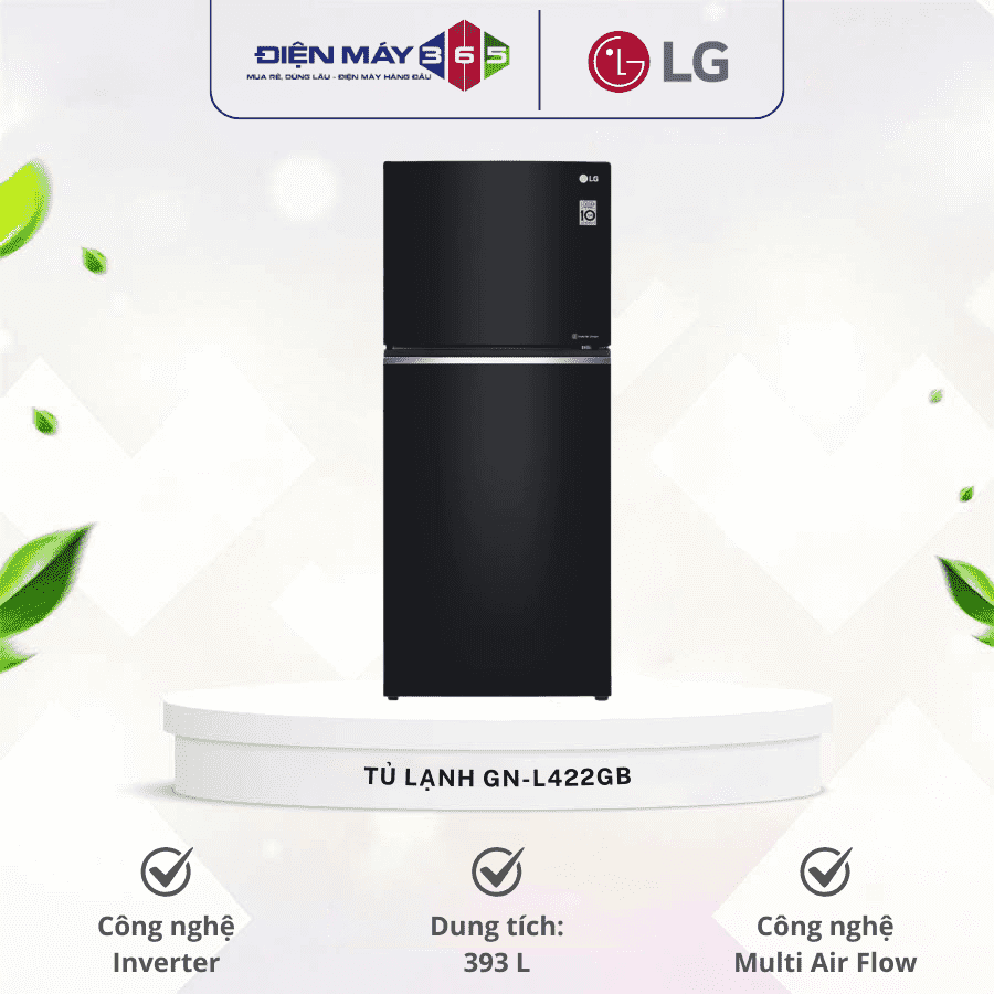 Tủ Lạnh 2 cánh Inverter 393 Lít LG GN-L422GB 3 Tủ Lạnh 2 cánh Inverter 393 Lít LG GN-L422GB