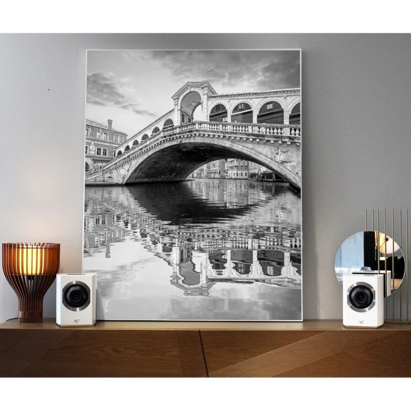 Loa Cabasse Rialto (BLACK) 4 Ảnh loa Cabasse Rialto (BLACK)