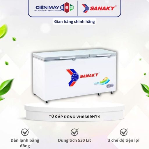 Tủ đông Sanaky VH6699HYK 8 VH6699HYK 1
