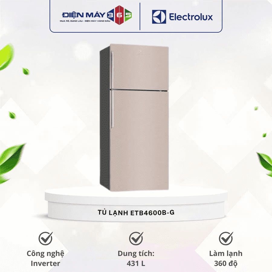 Tủ lạnh Electrolux ETB4600B-G 3 Tủ lạnh Electrolux ETB4600B-G