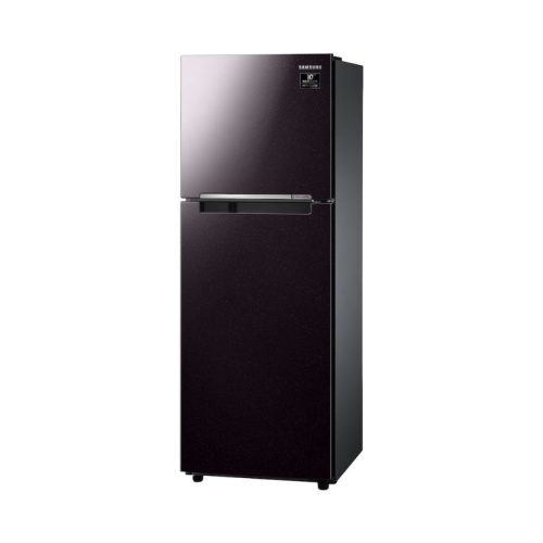 Tủ lạnh Samsung RT22M4032BY/SV