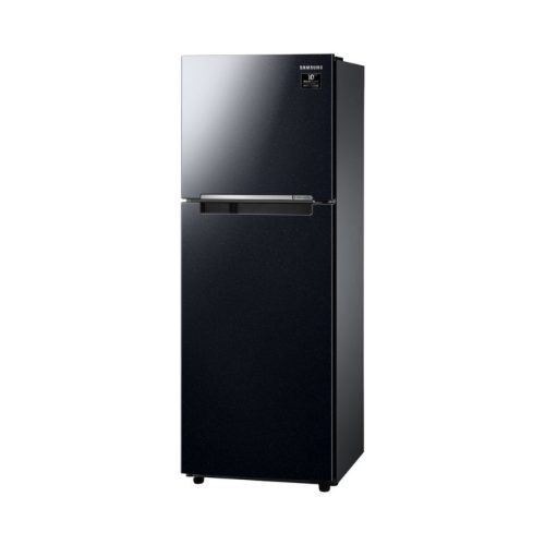 Tủ lạnh Samsung RT25M4032BU/SV