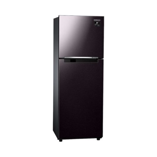Tủ lạnh Samsung RT22M4032BY/SV