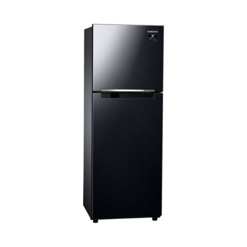 Tủ lạnh Samsung RT25M4032BU/SV