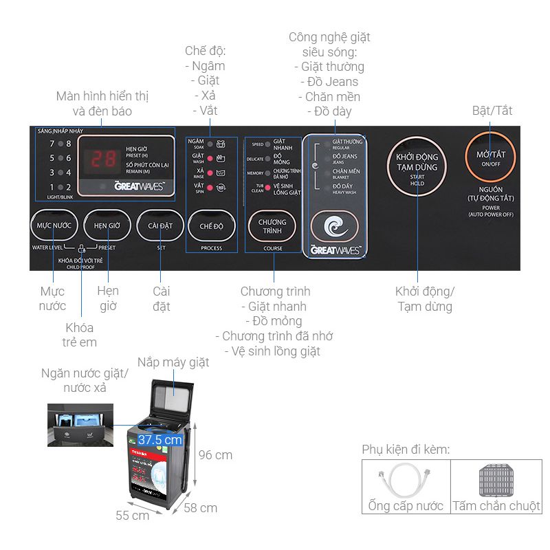 Kích thước Máy giặt Toshiba DK1000FV Kích thước Máy giặt Toshiba DK1000FV