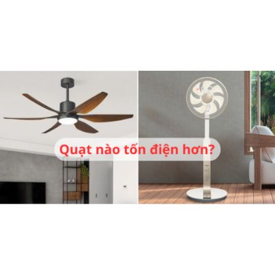 Quạt trần và quạt cây quạt nào tốn điện hơn? 5 Quạt trần và quạt cây quạt nào tốn điện hơn