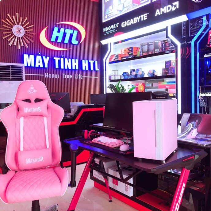 Ghế game Warrior - Raider Series WGC205 - Pink