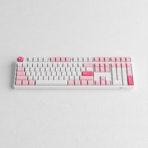 Bàn phím AKKO 3108 Plus Prunus Lannesiana (Foam tiêu âm / AKKO CS switch)