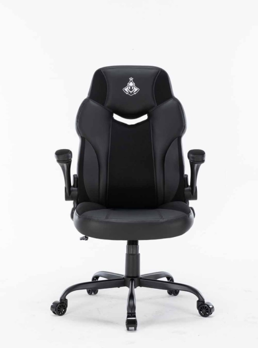 Ghế Game WARRIOR RAIDER SERIES - WGC203 - Black