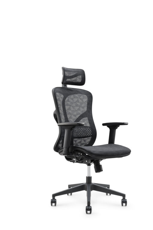dt27702-510x764