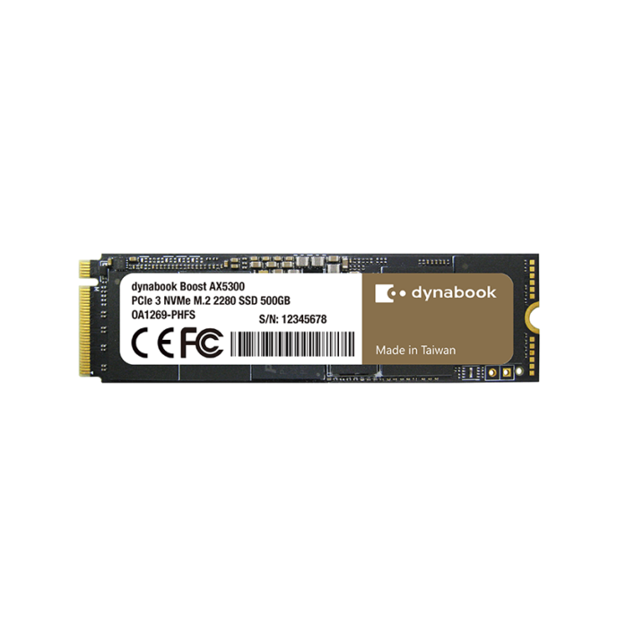 Ổ cứng SSD Dynabook BOOST AX5300 256GB NVMe M.2 2280 PCIe3