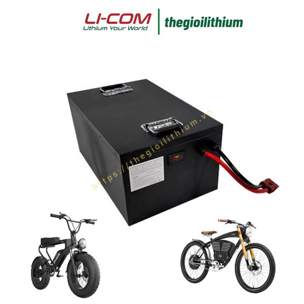 Pin lithium 48V 100Ah cho xe máy điện CTS-48100 1 Pin lithium 48V 100Ah cho xe máy điện CTS-48100