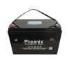 ac quy phoenix 12v 100ah ts121000 1