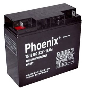 ac quy phoenix 12v 18ah ts12180 5