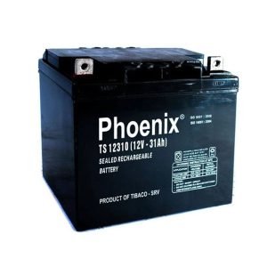 ac quy phoenix 12v 31ah ts12310 1