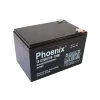 ac quy phoenix ts12120