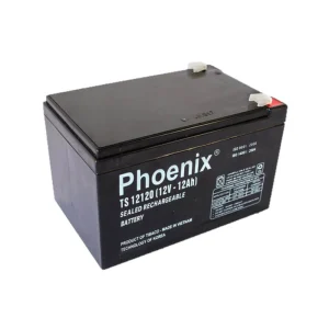 ac quy phoenix ts12120