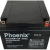 ac quy phoenix ts12240 1