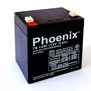 ac quy phoenix ts1250