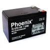ac quy phoenix ts1275