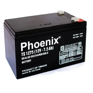 ac quy phoenix ts1275