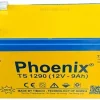 ac quy phoenix ts1290 1