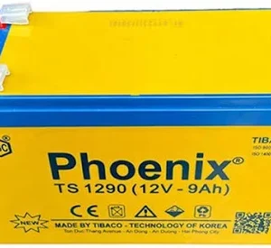 ac quy phoenix ts1290 1