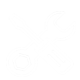ic3