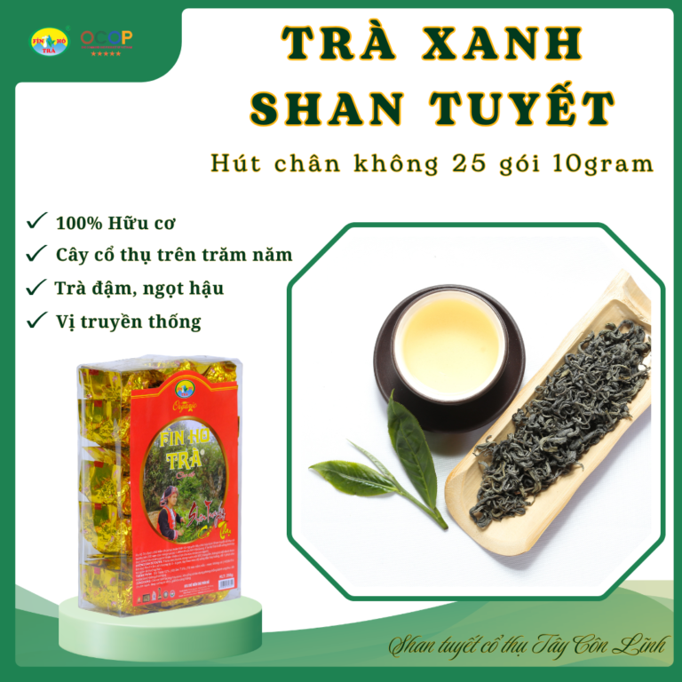 Trà xanh đậm vị - Hút chân không 25 gói 10g tiện dụng