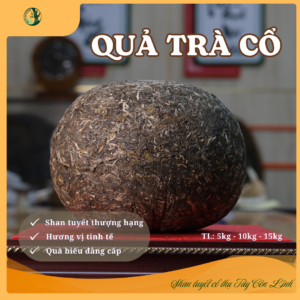 Quả Trà Cổ 5kg - Trà lên men sống