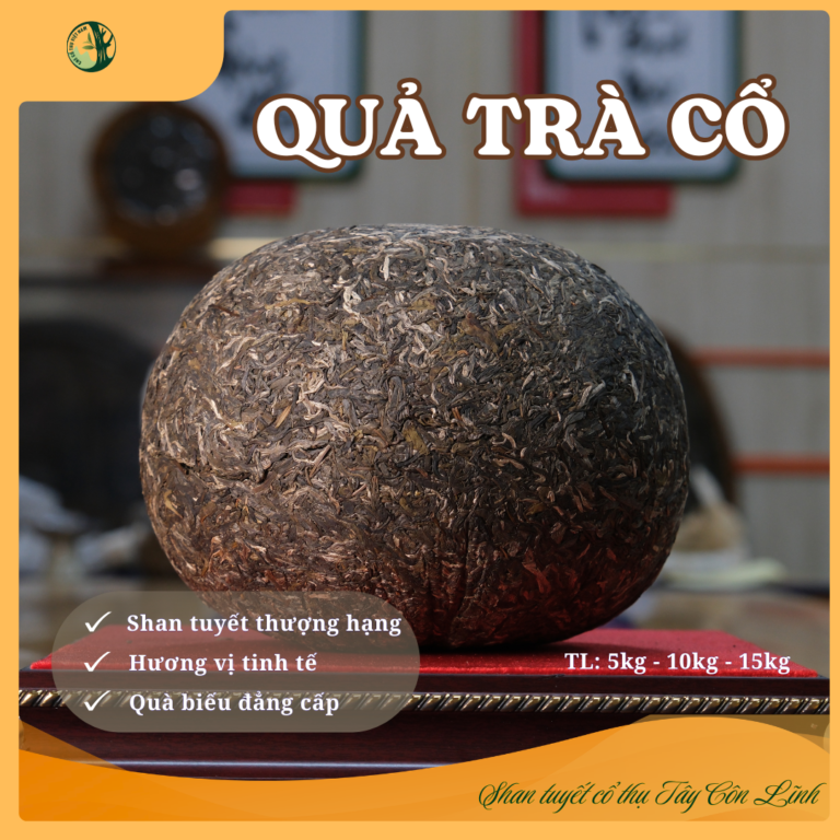 Quả Trà Cổ 15kg - Trà lên men sống