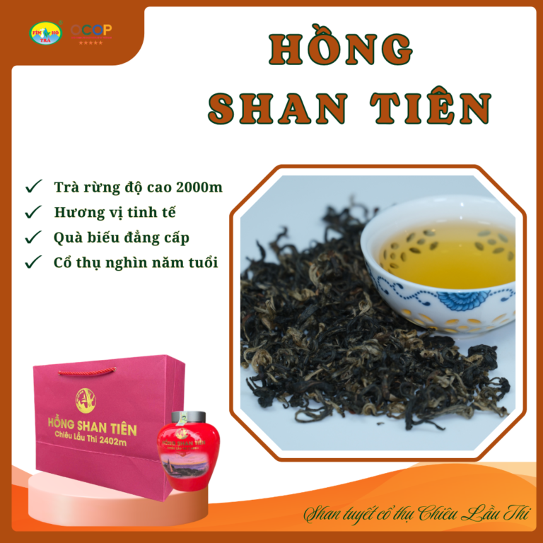 Hồng Shan Tiên - Hồng Trà Rừng Chiêu Lầu Thi 2402m - Hộp quà biếu cao cấp