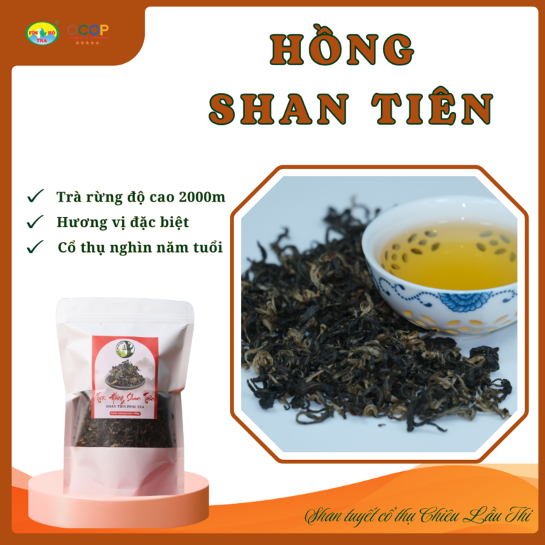 Hồng Shan tiên - Hồng trà rừng gói 100g