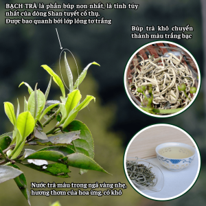 4-star Shan OCOP White Tea - Box of 400g Bach Tra Shan OCOP 4 sao 1