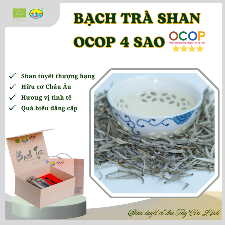 Bạch Trà Shan OCOP 4 SAO - Hữu cơ tiêu chuẩn EU