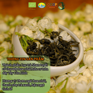 Jasmine Tea Green Set Luc tra uop nhai – Shan tuyet 3