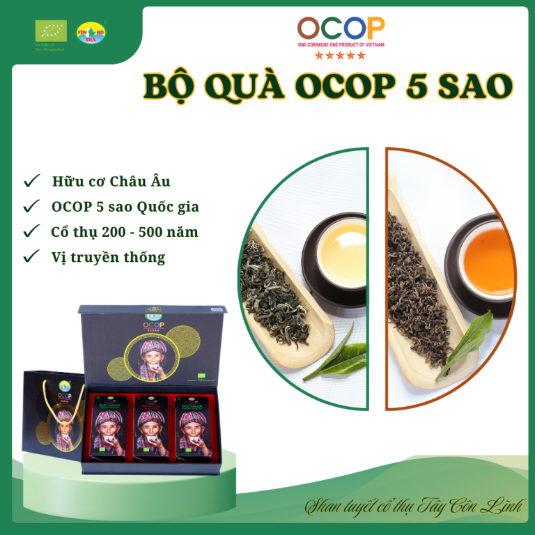 Set Quà Tặng OCOP 5 Sao – Trà xanh OCOP 5 sao và Hồng trà OCOP 5 sao