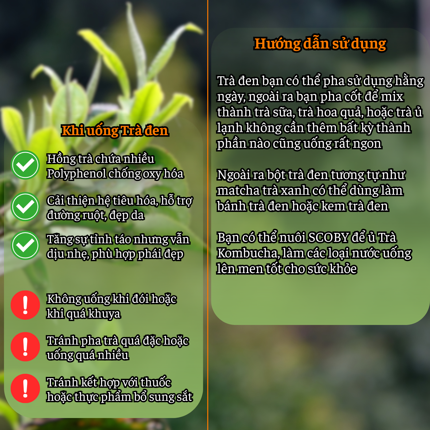 Trà đen Shan tuyết Bà cụ - Hữu cơ tiêu chuẩn EU Trà đen Shan tuyết Bà cụ - Hữu cơ tiêu chuẩn EU - Ảnh 4