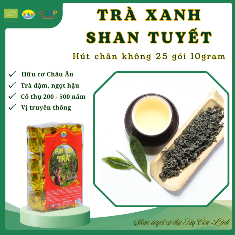 Trà xanh đậm vị - Hút chân không 25 gói 10g tiện dụng