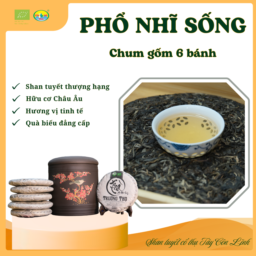 Phổ nhĩ sống Shan tuyết - Chum 6 bánh 357g | Tây Côn Lĩnh | Tiêu chuẩn hữu cơ Châu Âu Phổ nhĩ sống Shan tuyết - Chum 6 bánh 357g | Tây Côn Lĩnh | Tiêu chuẩn hữu cơ Châu Âu