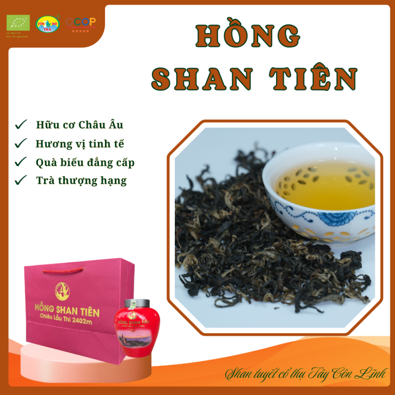 Hồng Shan Tiên - Hồng Trà Rừng Chiêu Lầu Thi 2402m - Hộp quà biếu cao cấp