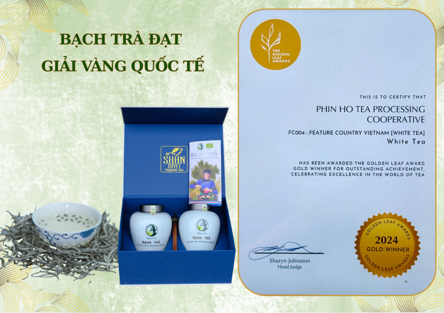 Bạch Trà - Giải Vàng Quốc Tế tại Úc Năm 2024