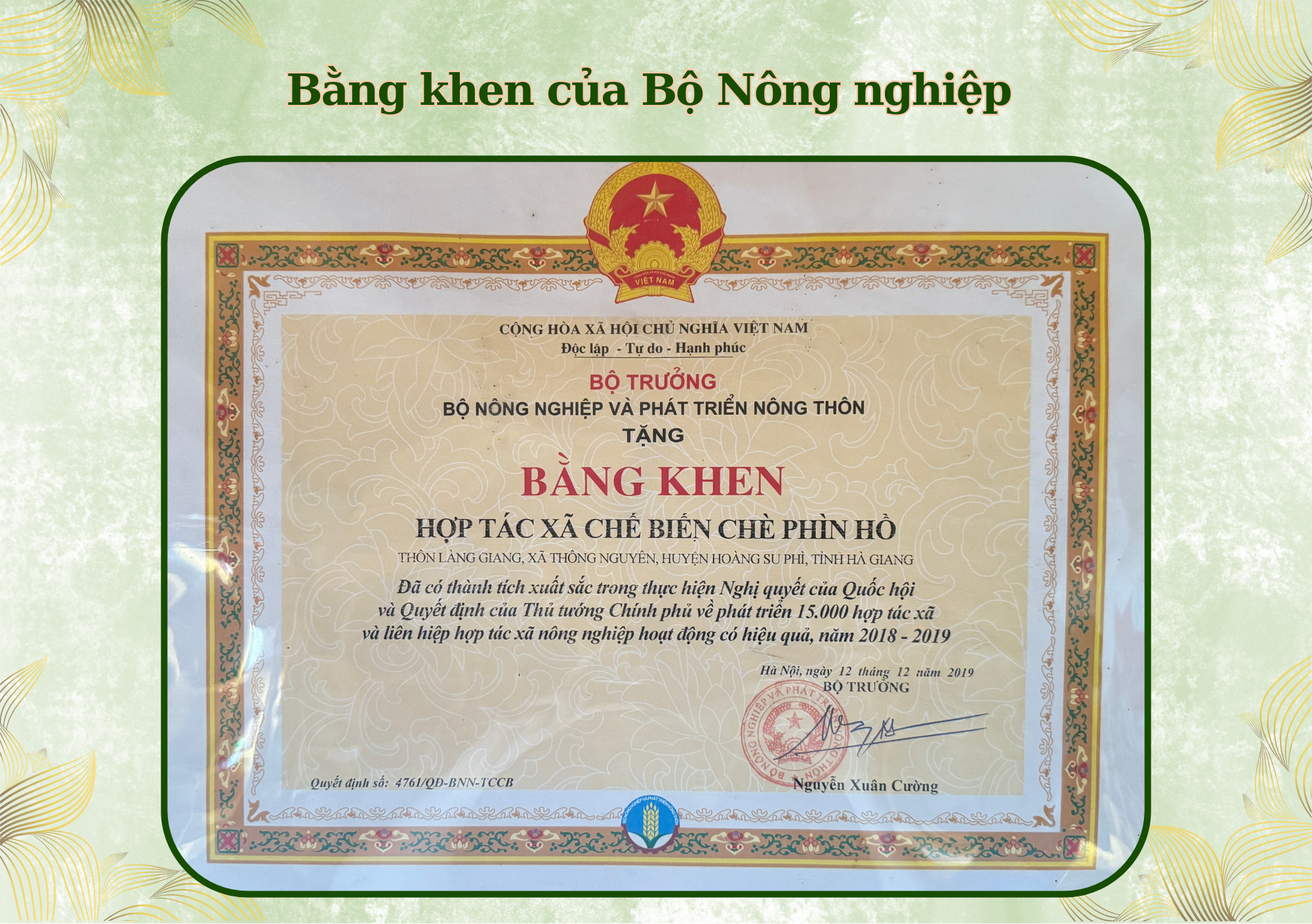 Trà Shan Tuyết Fìn Hò Đạt Nhiều Bằng Khen Của Thủ Tướng Chính Phủ, Bộ Nông Nghiệp Và Giành Nhiều Giải Thưởng Danh Giá