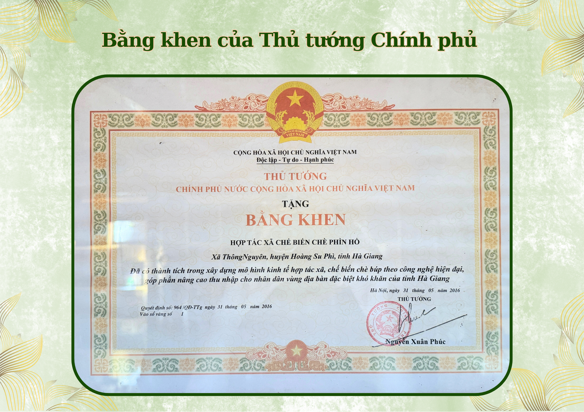 Trà Shan Tuyết Fìn Hò Đạt Nhiều Bằng Khen Của Thủ Tướng Chính Phủ, Bộ Nông Nghiệp Và Giành Nhiều Giải Thưởng Danh Giá